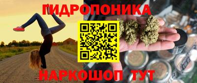 дмт Можга